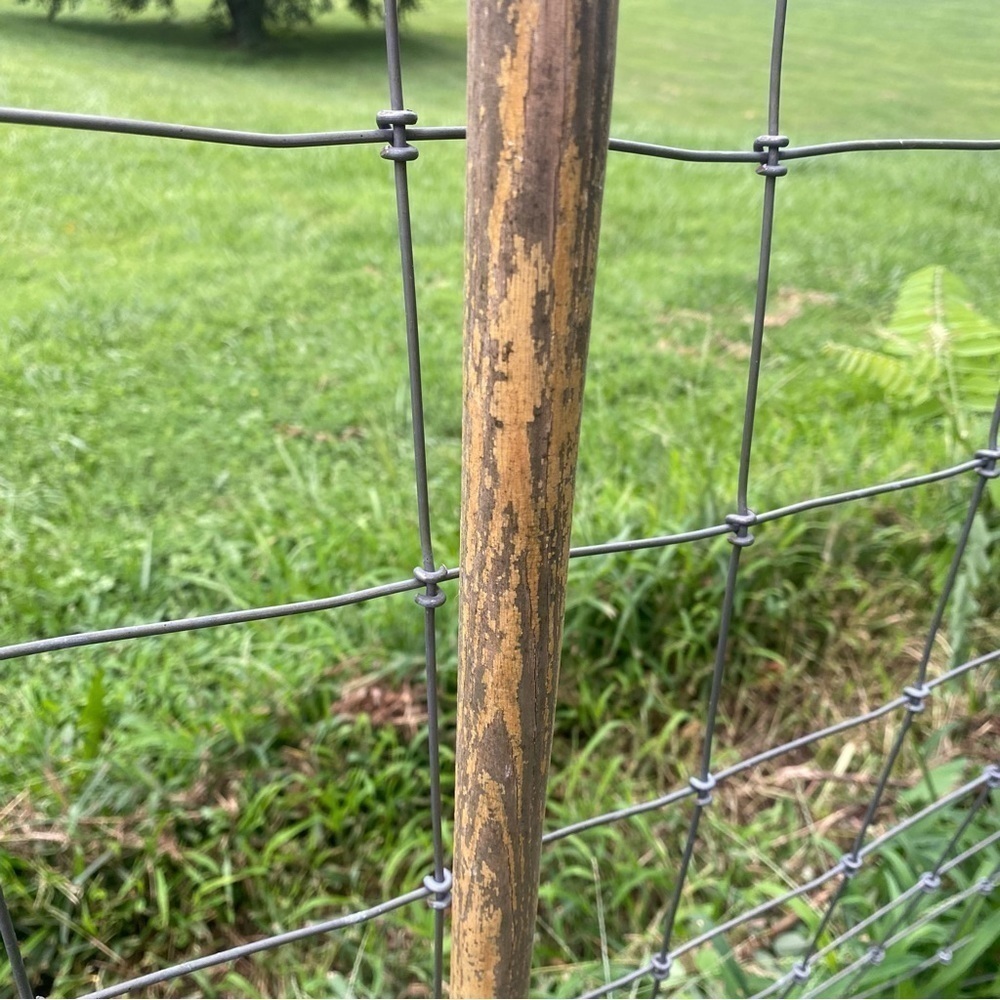 Antique Vintage Weathered Wood Cane Home Decor - Picture 4 of 6